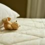 Дітям небезпечно спати з м’якими іграшками, заявили медики