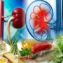 9 суперпродуктів для здоров’я нирок