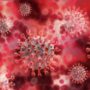 Вчені: Новий коронавірус підвищує ризик розвитку пухлини мозку