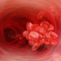 Група крові людини впливає на її схильність до тромбів