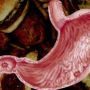 Дієтологи перерахували найбільш шкідливі продукти для шлунка