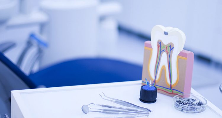 Стоматологические товары Denty