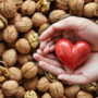 Лікар рекомендує регулярну жменю горіхів для оздоровлення серця