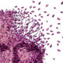 Сигнал хворого мозку: вчені пояснили ранню та неочевидну ознаку деменції