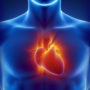 Як уникнути хвороб серця: названий «безкоштовний спосіб» знизити ризик на 35%