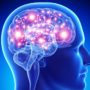 Популярна мінеральна добавка, яка може зашкодити здоров’ю мозку