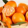 Апельсини знижують ризик втрати зору на 60%