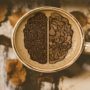 Які зміни в мозку відбуваються у любителів кави, з’ясували вчені