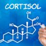 Як знизити рівень кортизолу, щоб жити довше та краще