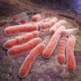 Вчені встановили важливий фактор поширення туберкульозу