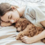 Ось чому спати вдень щодня – корисно для здоров’я