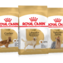 Корм Royal Canin для собак – ветеринарная линейка