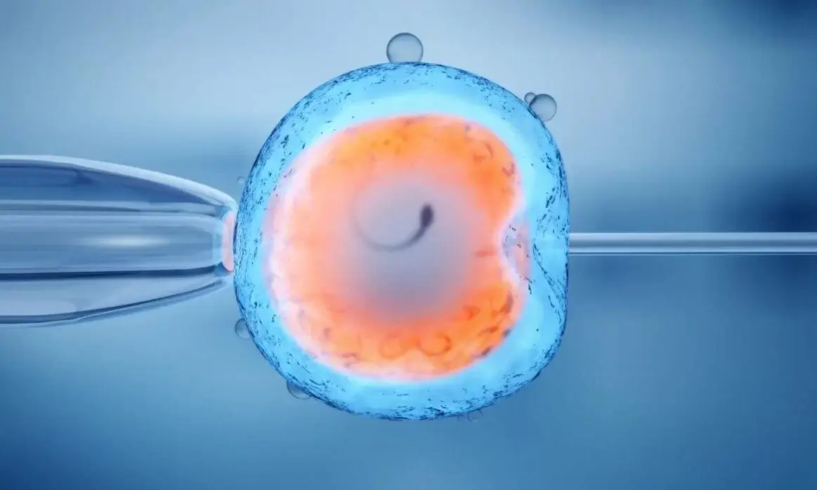 Безкоштовне ЕКЗ від Національна служба здоров’я України (НСЗУ) ЕКЗ