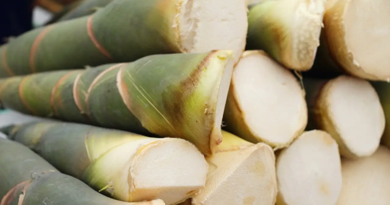 Популярний азійський продукт визнали новим суперфудом — заява науковців Пагони бамбуку